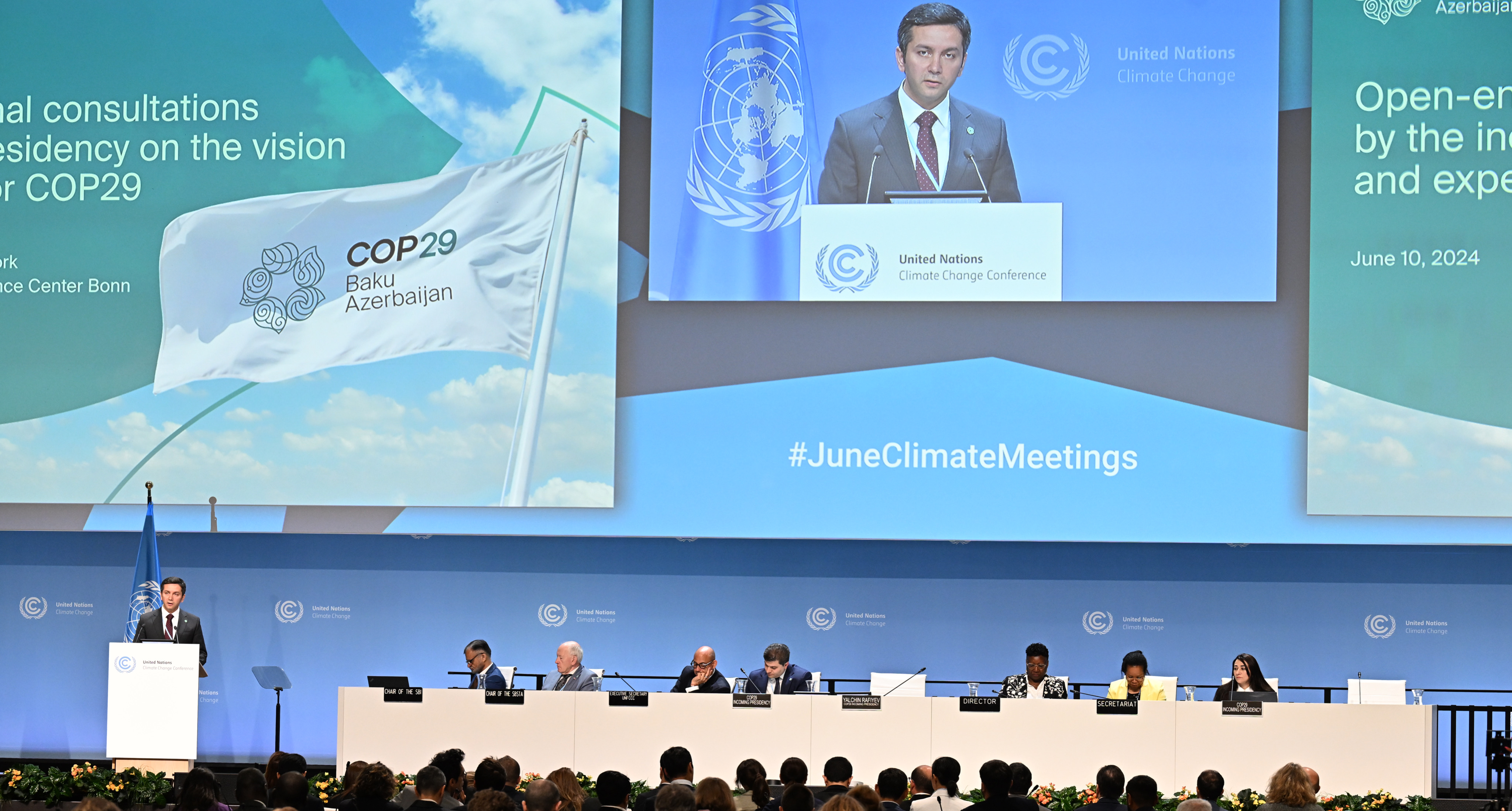 COP29 Lead Negotiator Outlines Vision and Strategy for Success for Climate Diplomacy