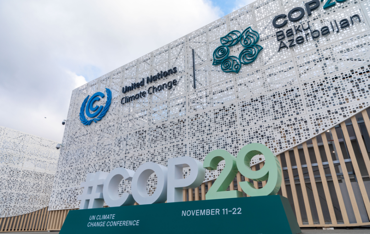 COP29