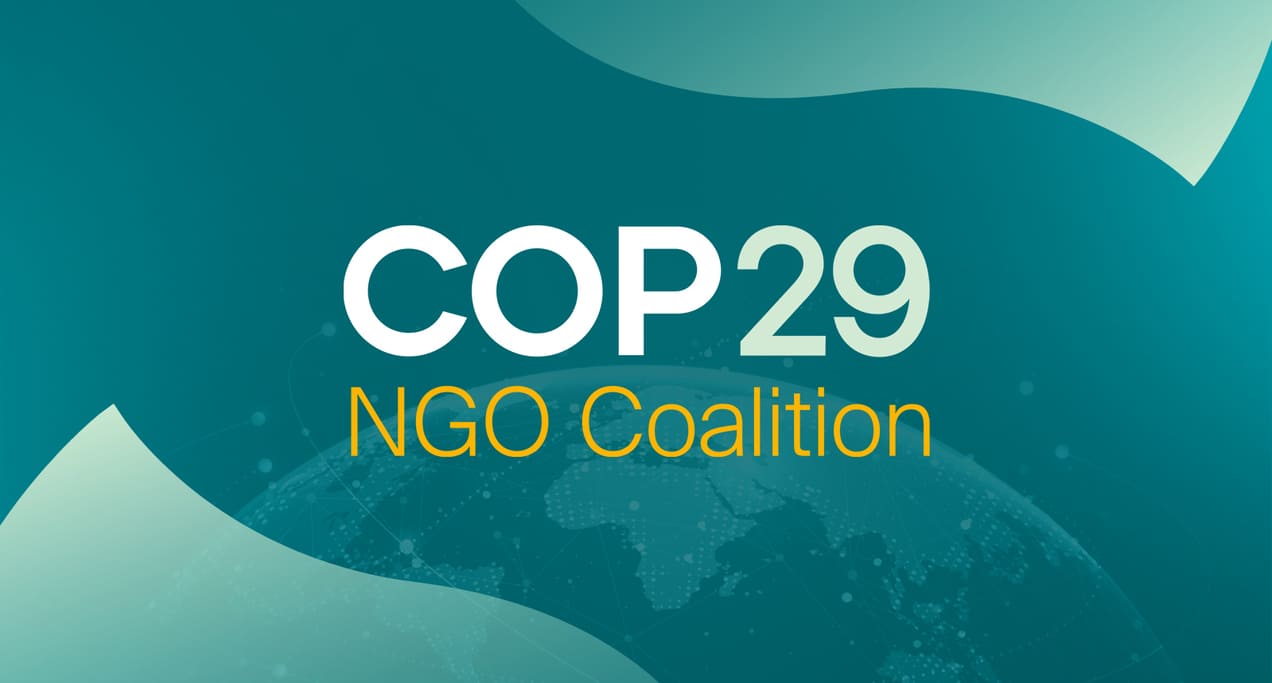 Foreign and Local NGOs establish “COP29 NGO Coalition