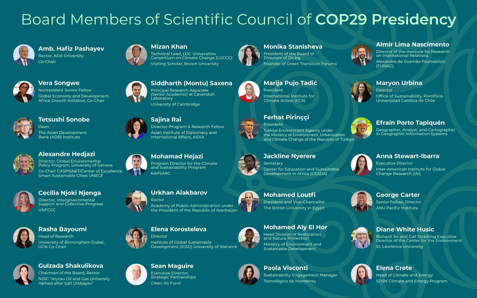 COP29 International Advisory Committee